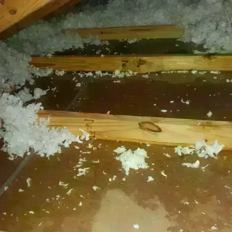 Attic Water Damage in Lucerne, CA