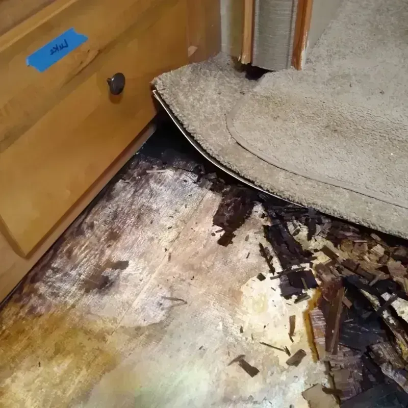 Wood Floor Water Damage in Lucerne, CA